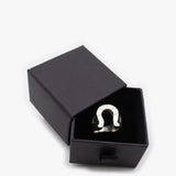 Anillo Herradura