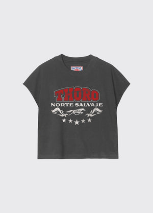 Norte Salvaje