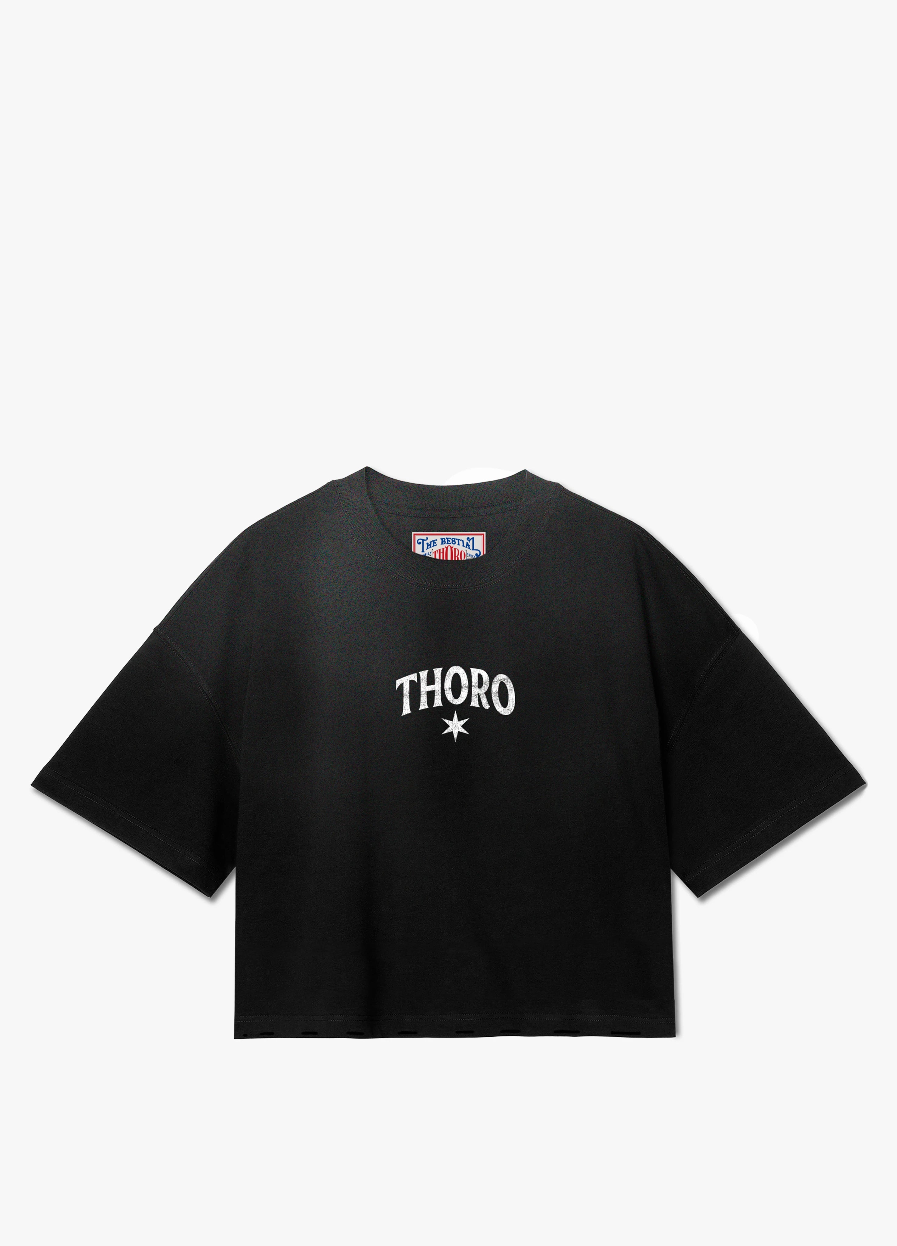 Thoro Ropa Productos – THORO 650