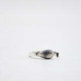 Anillo Fosforo