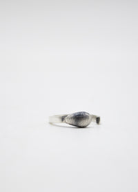 Anillo Fosforo