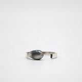 Anillo Fosforo