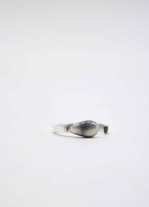 Anillo Fosforo
