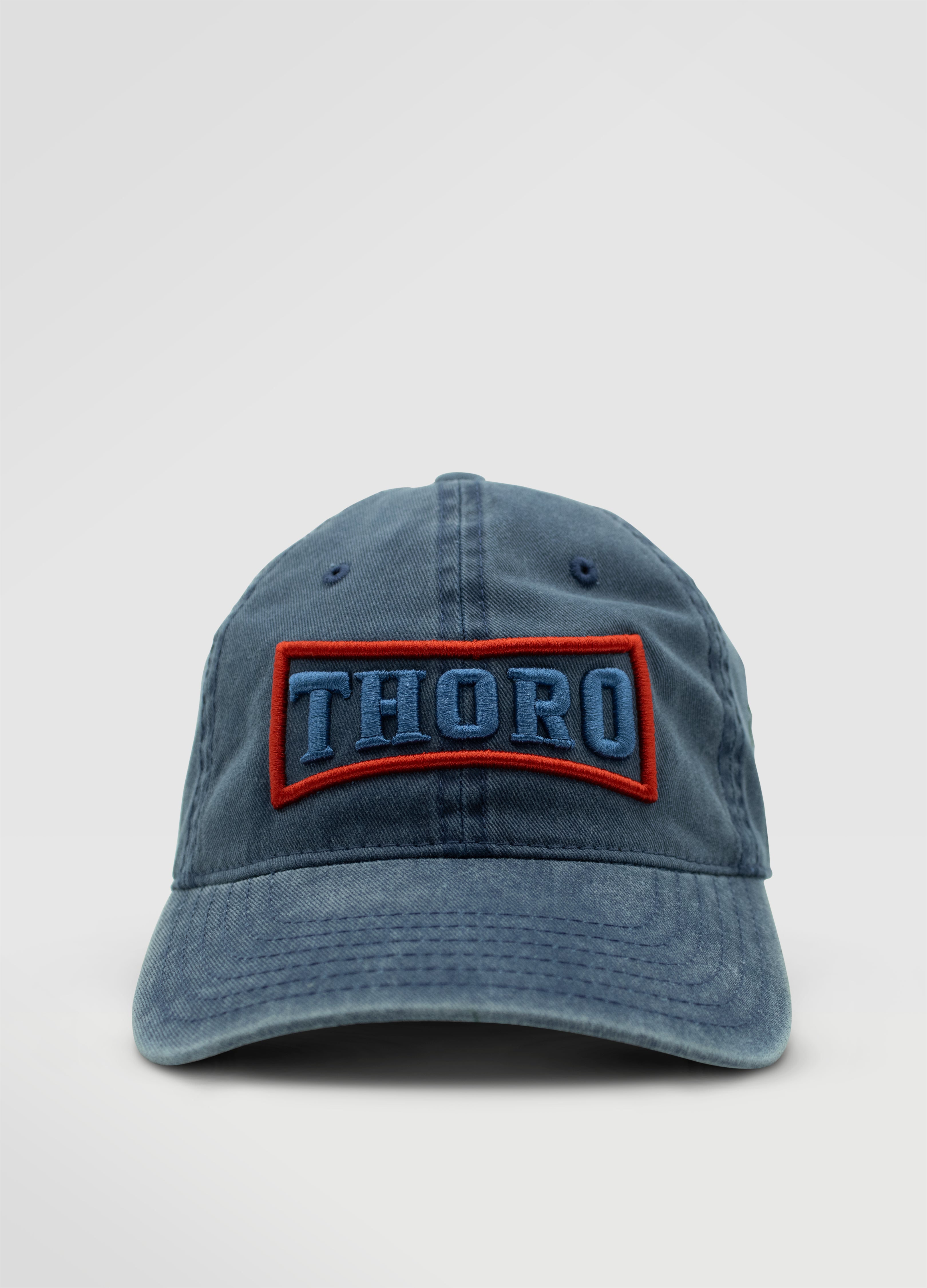 Aviso de Privacidad – THORO 650