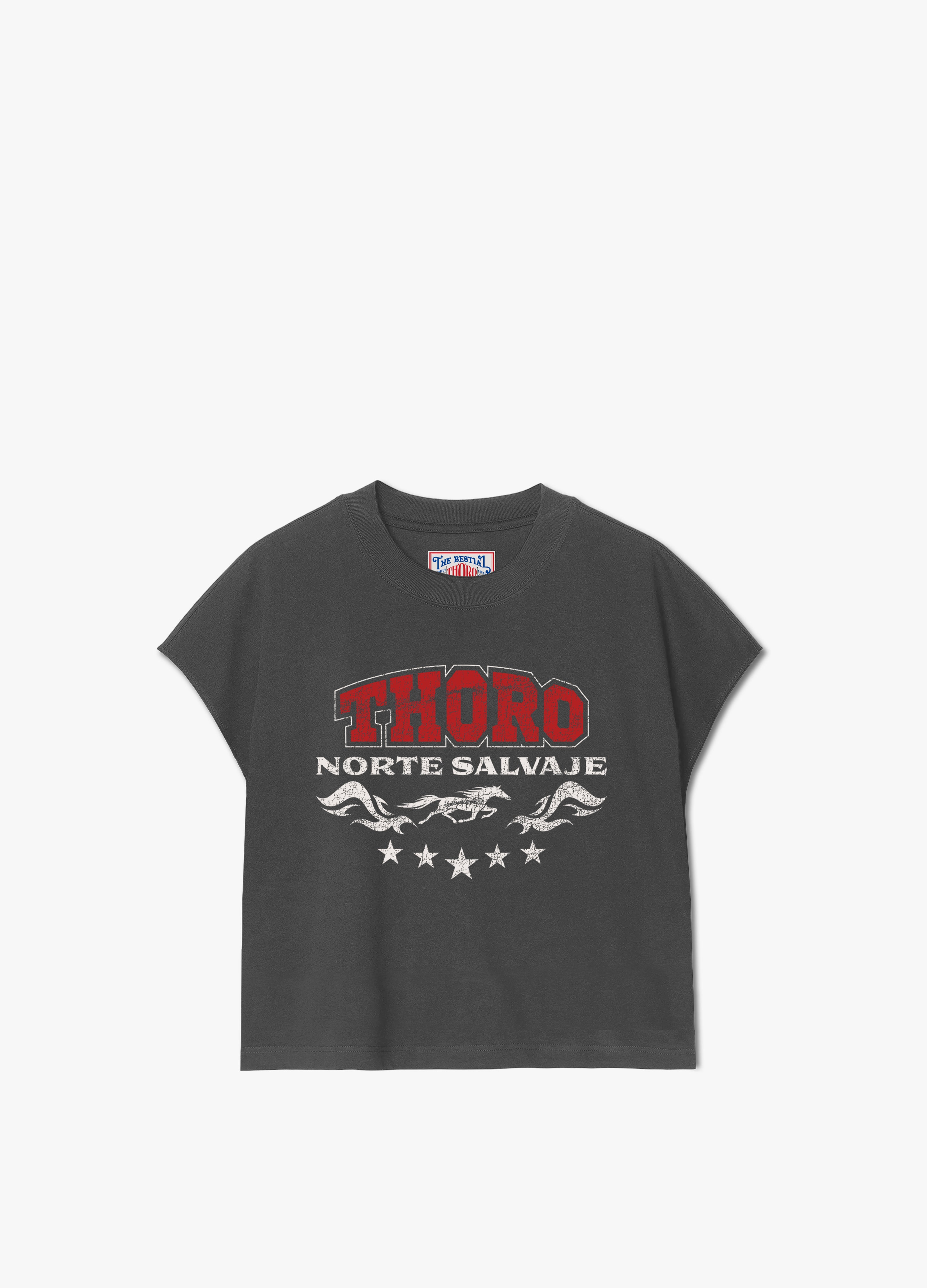 Thoro Ropa Playeras norte – THORO 650
